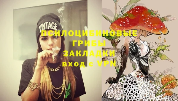 Альфа ПВП Абаза