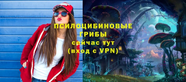 Альфа ПВП Абаза