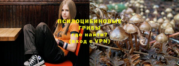 молекула духа Абинск