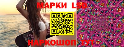 спайс Коммунар