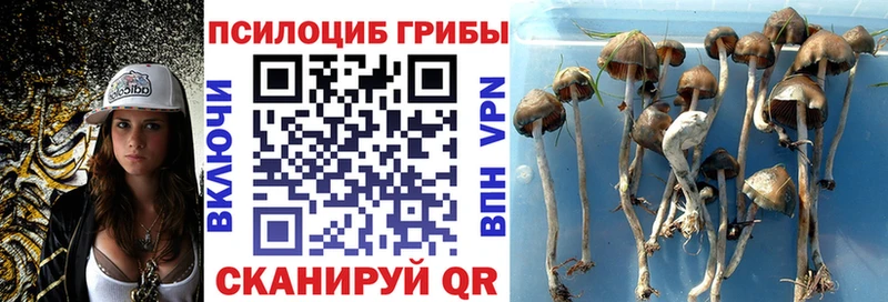 mega маркетплейс Майский Псилоцибиновые грибы MAGIC MUSHROOMS