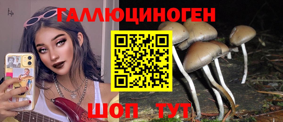 Галлюциногенные грибы Psilocybine cubensis  Галлюциногенные грибы Cubensis  Вход с VPN  Майский 